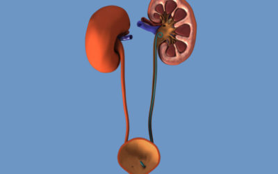 Τι είναι το pig-tail;